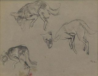 KOCH, John. Pencil on Paper. Study of Dogs.