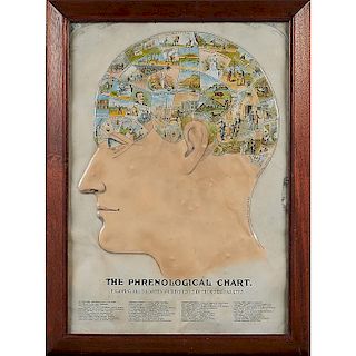 RARE PAINTED TIN PHRENOLOGICAL CHART AND ETC.