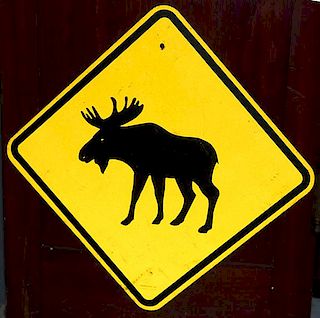 Moose Crossing sign 24" x 24"