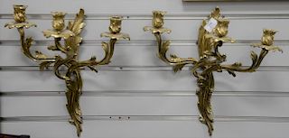 Pair of French bronze three light candle sconces. ht. 15 1/2in., wd. 15in.