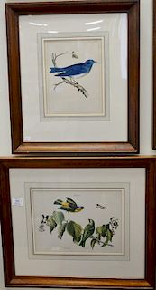 Five framed colored lithographs including a set of four USPRR 19th century hand colored lithographs of flowers from "The Unit