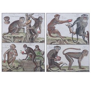 Pair Antique Colored Monkey Engravings "Histoire Naturelle, Quadrupedes" Signed in plate "Benard Direxit".