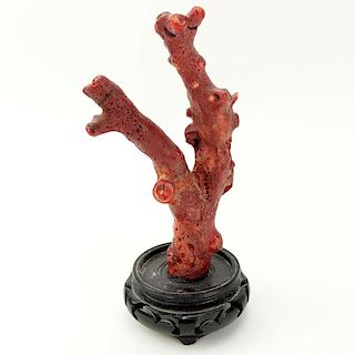Red Coral Mounted on Wooden Stand. Natural wear.