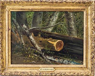* Thomas Addison Richards, (American, 1820-1900), Tree Trunk, c. 1869