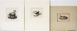 Thomas Bewick, (British, 1753-1828), A group of engravings of birds