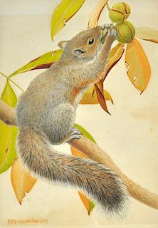 Richard P. Grossenheider "Squirrel" W/C