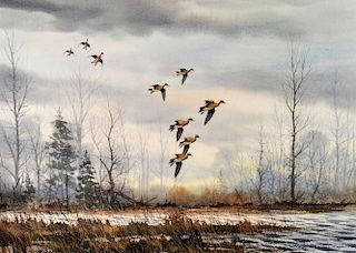 David Hagerbaumer "Flock of Ducks" W/C