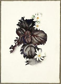 No. 36 - Special (Nicotine Flower) by Georgia O'Keeffe
