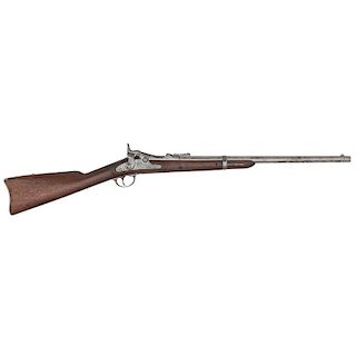 Model 1870 Springfield Carbine
