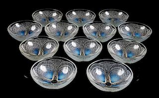 Rene Lalique, (French, 1860-1945), a set of 12 Coquilles bowls, no. 3204