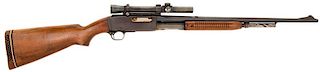 **Remington Model 141