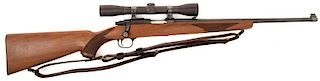 *Ruger Model 77/22 Rifle