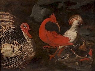 Manner of MELCHIOR de HONDECOETER, (Dutch, 1636-1693), Still Life with Birds