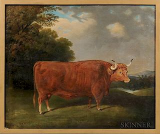 Anglo/American School, Mid-19th Century      Portrait of a Brown Bull in a Pasture
