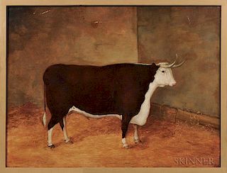 Anglo/American School, Mid-19th Century      Portrait of a Brown and White Bull in a Stall