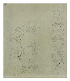 * Emile Galle, (French, 1846-1904), Botanical Sketch