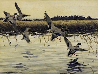 ECKELBERRY, Don. Watercolor. Ducks in Flight.