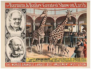 Barnum & Bailey Greatest Show on Earth. A Genuine African Giraffe.