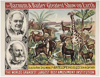 Barnum & Bailey Greatest Show on Earth. Selected Rare Specimens of the Antelope.