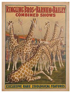 Ringling Brothers and Barnum & Bailey Combined Shows. Exclusive, Rare, Zoological Features.