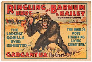Ringling Brothers and Barnum & Bailey. Gargantua the Great. The Largest Gorilla Ever Exhibited.