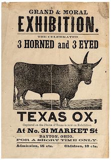 Grand & Moral Exhibition. The Celebrated 3 Horned and 3 Eyed Ox.