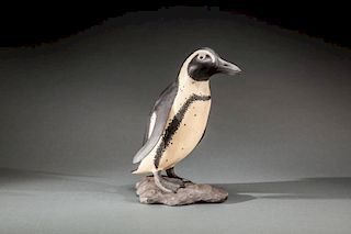 Black-Footed Penguin