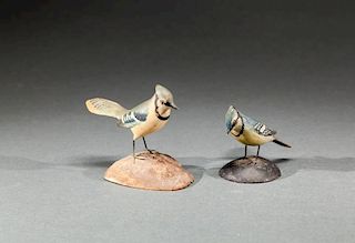 Two Miniature Blue Jays
