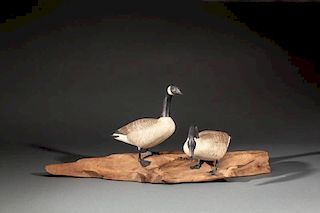 Miniature Canada Goose Pair