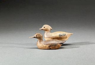 Miniature Wood Duck and Blue-Winged Teal