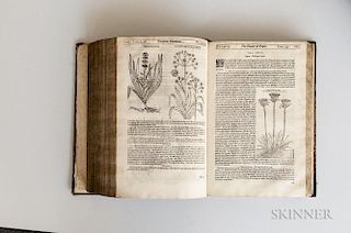 Parkinson, John (1567-1650) Theatrum Botanicum: the Theater of Plants.