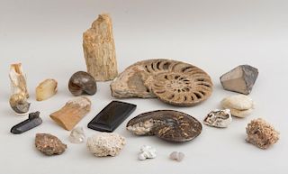 LARGE GROUP OF MINERAL SPECIMENS AND FOSSILS