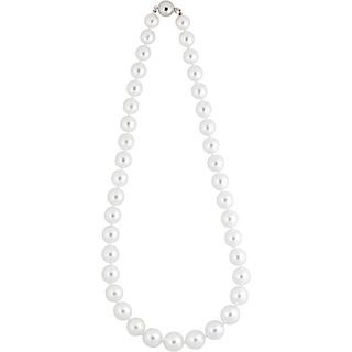 SOUTH SEA PEARL & WHITE GOLD NECKLACE