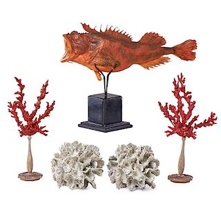 SCORPION FISH, CORALS  AND BEAUTIES