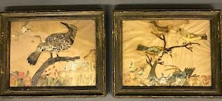 Pair of Framed Birds Made of Feathers