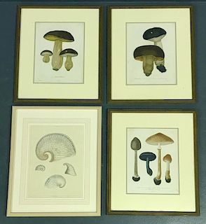Grouping of Mushroom Prints and Another Print