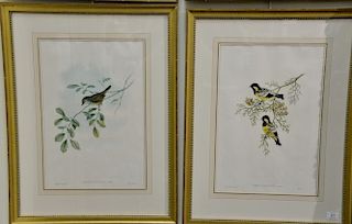 After John Gould set of four hand colored lithographs from Birds of Asia Iyngipicus Hardwickii Alcippe Brunnea Parus Elegans