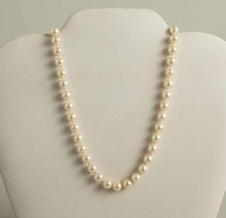 Salt Water Pearl 14k Necklace