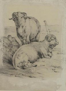 Possibly Rosa Bonheur. Pencil on Paper. Rams, 1848