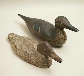 Two Duck Decoys