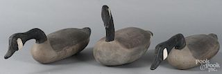 Three carved and painted Canada goose decoys.