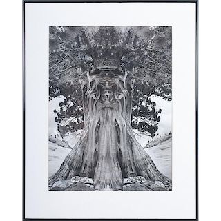 Jerry Uelsmann, Signed Tree of Life Poster