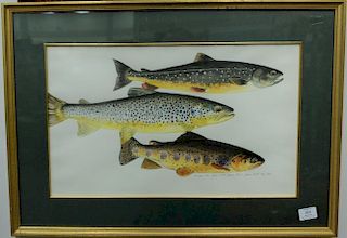 James Prosek (b. 1976), watercolor on paper, "Sunapee, Brown Trout, Apache Trout", signed and dated lower right: James Prosek