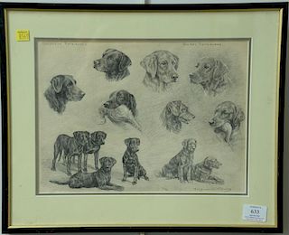 Marguerite Kirmse (1885-1954), pencil on paper, "Labrador Retrievers" "Golden Retrievers", signed lower right: Marguerite Kir