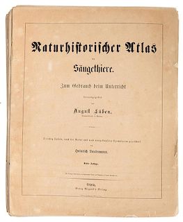 Naturhistorischer Atlas der Saugethiere.