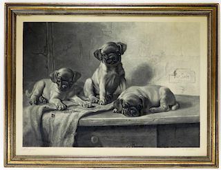 19C. H. Blake Three Boxer Puppy Dog Etching