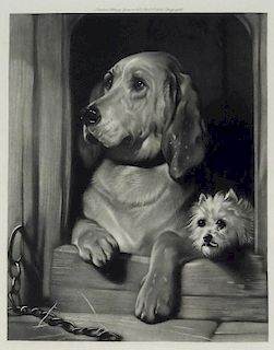 Sir Edwin Landseer Dignity Impudence Dog Etching