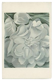 Georgia O’Keefe Signed “White Flower” Postcard.