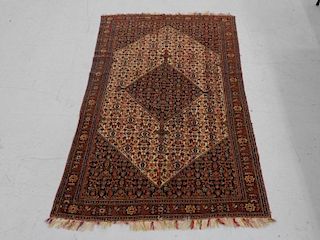 Antique Persian Rainbow Sennah Pattern Rug Carpet