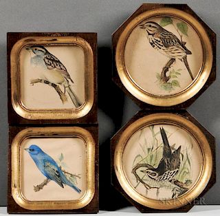 Robert Ridgway (American, 1850-1929)    Four Framed Bird Prints: Sea-side Finch ,  Indigo Bunting ,  White-Throated Sparrow